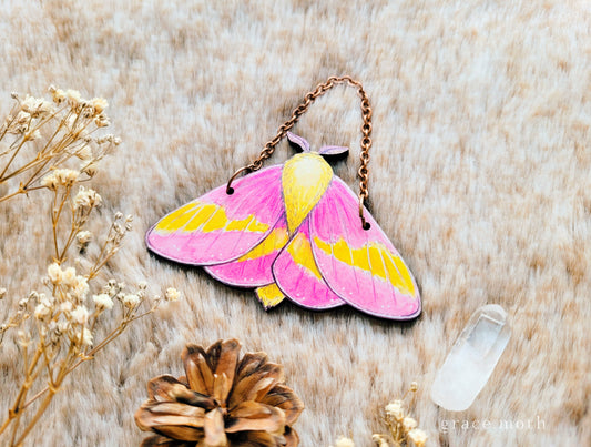 Rosy Maple Moth ornament, wall hanging, 7.5cm, responsibly sourced cherry wood, illustrated by Grace Moth, Entomology