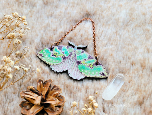 Green Carpet Moth ornament, wall hanging, 7.5cm, responsibly sourced cherry wood, illustrated by Grace Moth, Entomology