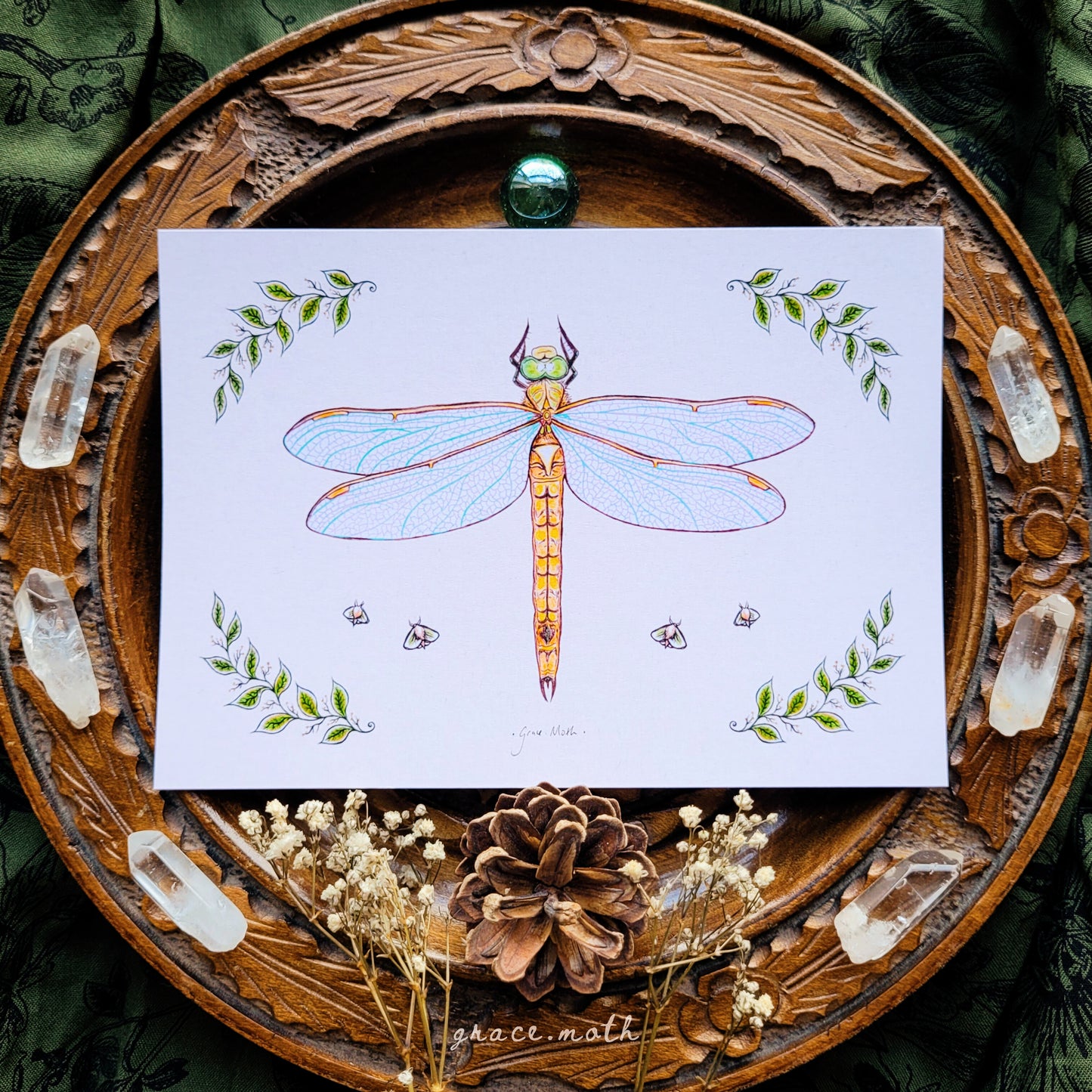 Dragonfly - A6 print Illustrated by Grace Moth - 5.8 x 4.1 - Norfolk Halker