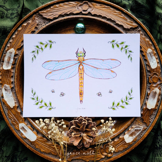Dragonfly - A6 print Illustrated by Grace Moth - 5.8 x 4.1 - Norfolk Halker