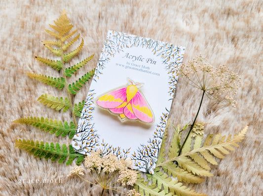 Rosy Maple pin, recycled clear acrylic, by Grace Moth - Pink Moth, Entomology
