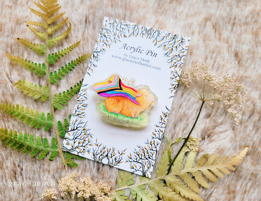 Pride Piggy illustrated pin, recycled clear acrylic, by Grace Moth - LGBTQ+ Guinea Pig