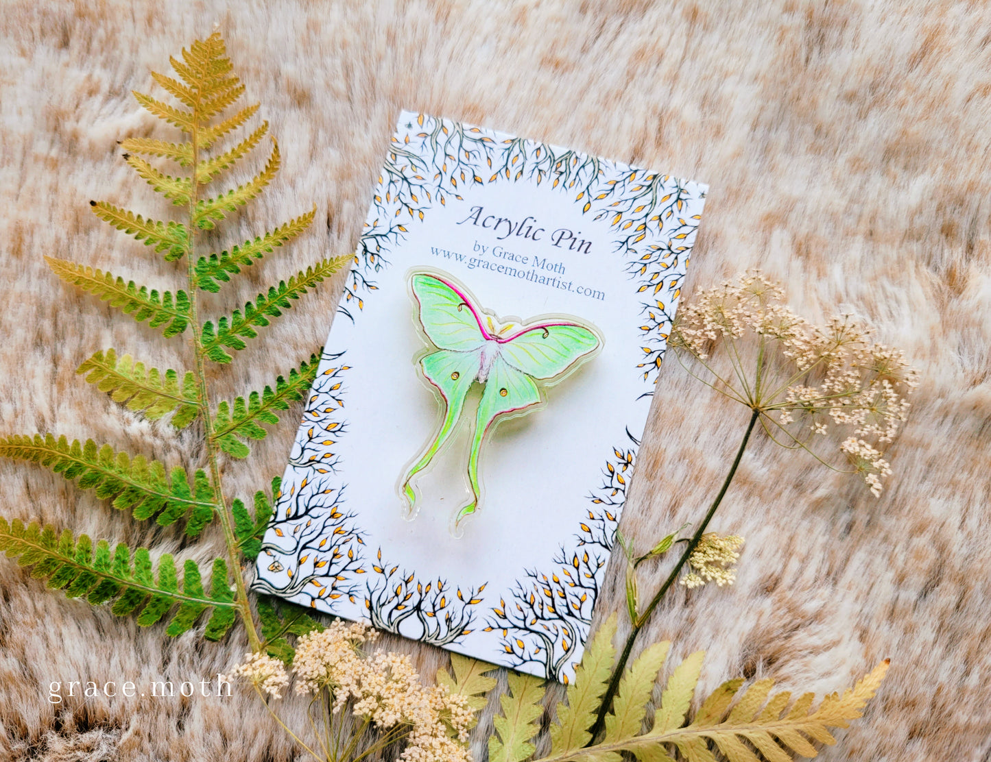 Luna Moth illustrated pin, recycled clear acrylic, by Grace Moth