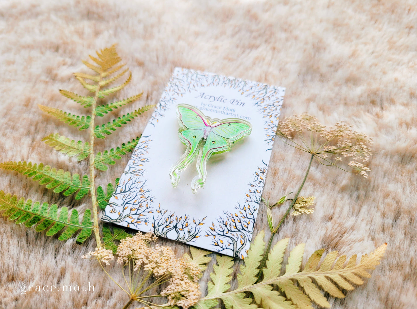 Luna Moth illustrated pin, recycled clear acrylic, by Grace Moth