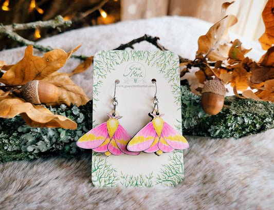 Rosy Maple Moth illustrated earrings, responsibly sourced cherry wood, Entomology watercolour, 304 Stainless Steel hooks, by Grace Moth