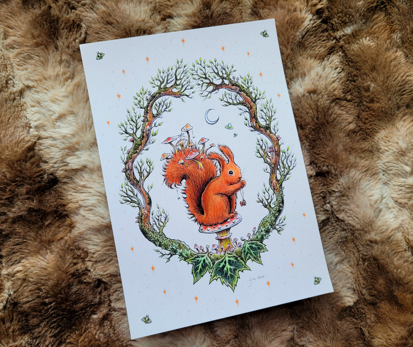 Autumn Red Squirrel - A5 or A4 art print by Grace Moth