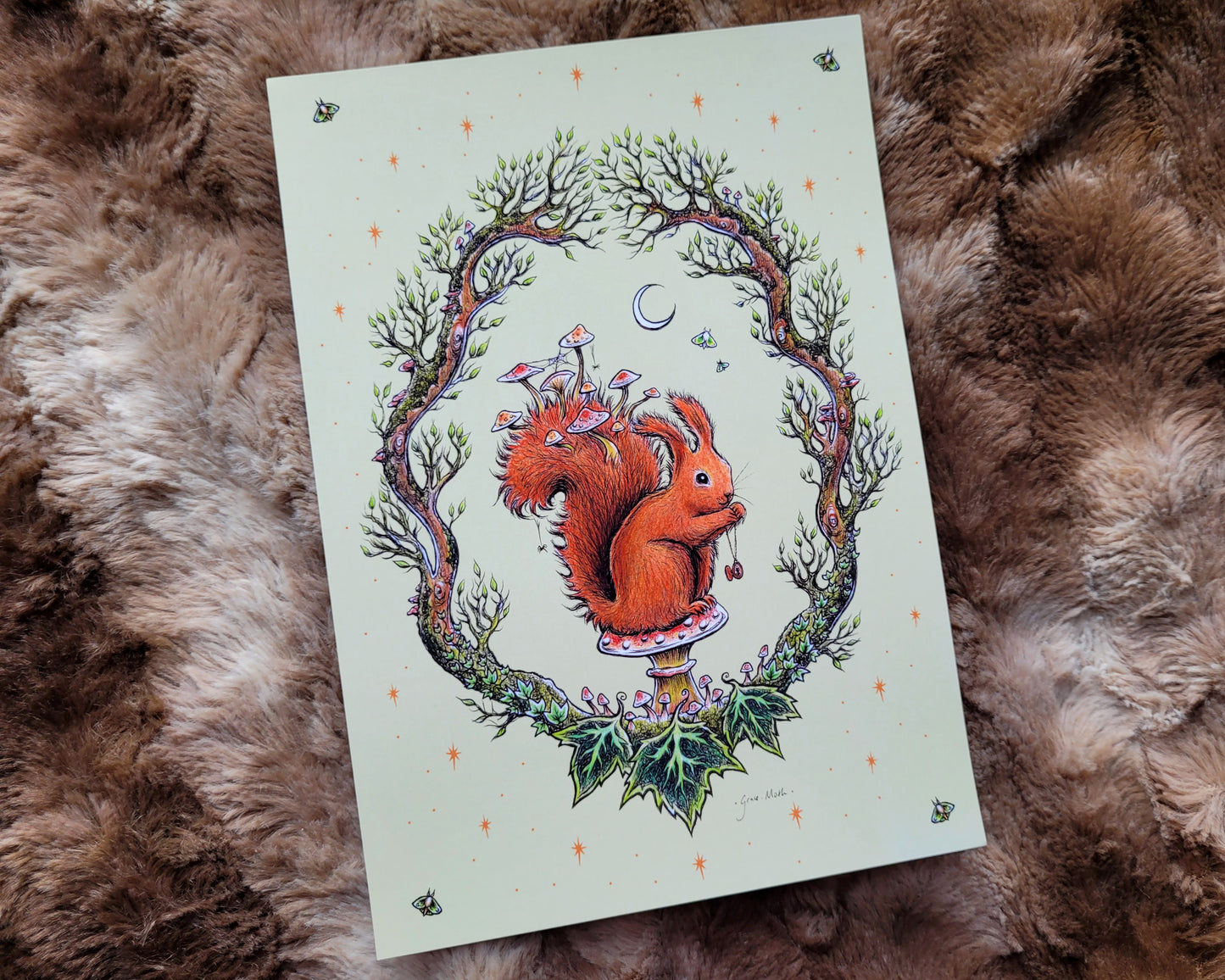 Autumn Red Squirrel - Green - A5 or A4 art print by Grace Moth