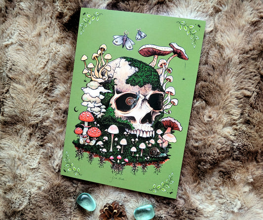 Here lies a Fungi Notebook - lined A5 size, 80 pages, professionally printed - by Grace Moth