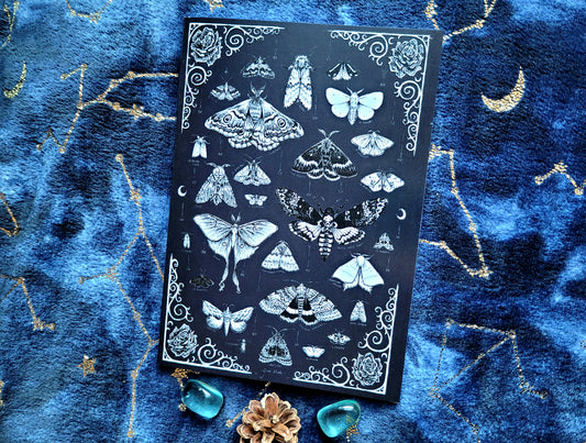 Moth Treasures Notebook - lined A5 size, 80 pages, professionally printed - by Grace Moth