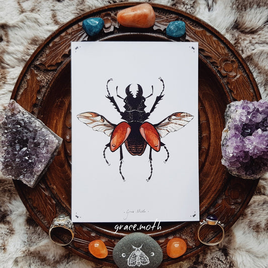 Stag Beetle - A6 print 5.8 x 4.1