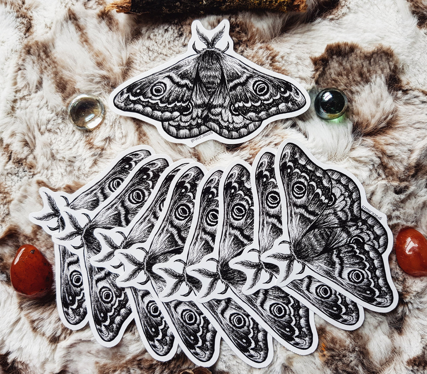 Emperor Moth - Vinyl Sticker 10cm by 6cm