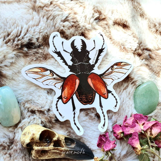 Stag Beetle - Vinyl Sticker 10cm by 9cm