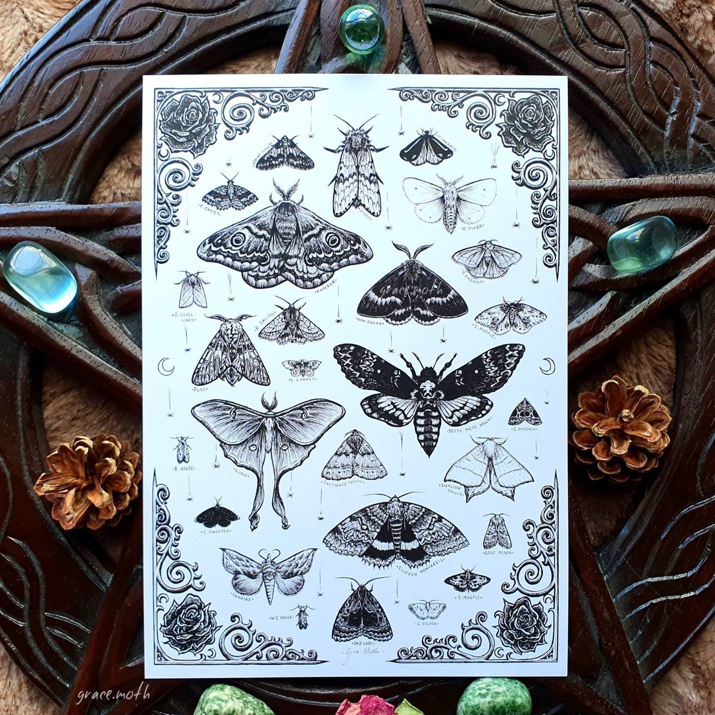 White Moths - A5 art print by Grace Moth - 5.8 x 8.3