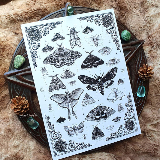 Moth Treasures - A4 art print by Grace Moth - 8.3 x 11.7