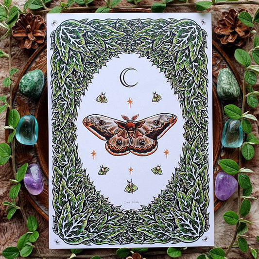 Emperor Moth - A5 art print by Grace Moth - 5.8 x 8.3