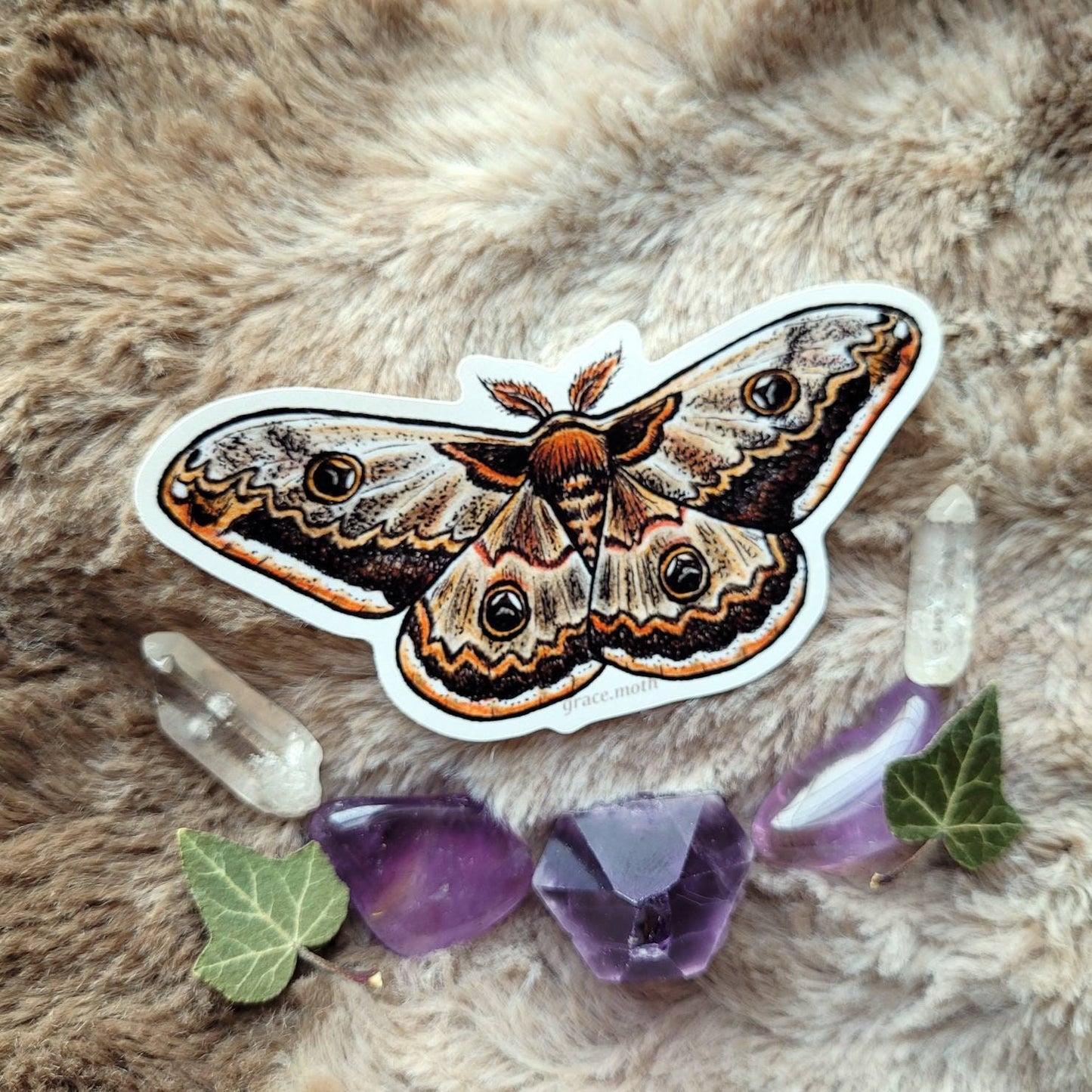 Brown Emperor Moth - Vinyl Sticker 10cm by 5cm - Illustrated by Grace moth. Witchy, cottagecore, insect