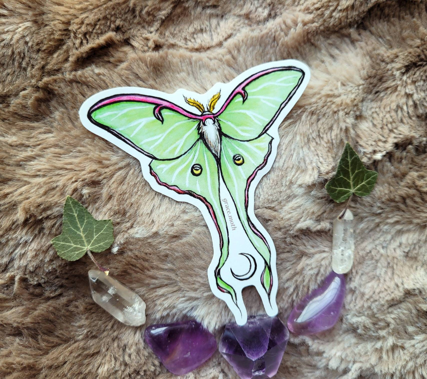 Luna Moth - Vinyl Sticker 10cm by 9cm - Illustrated by Grace moth. Taxidermy inspired, cottagecore, insect, moon magic, witchy