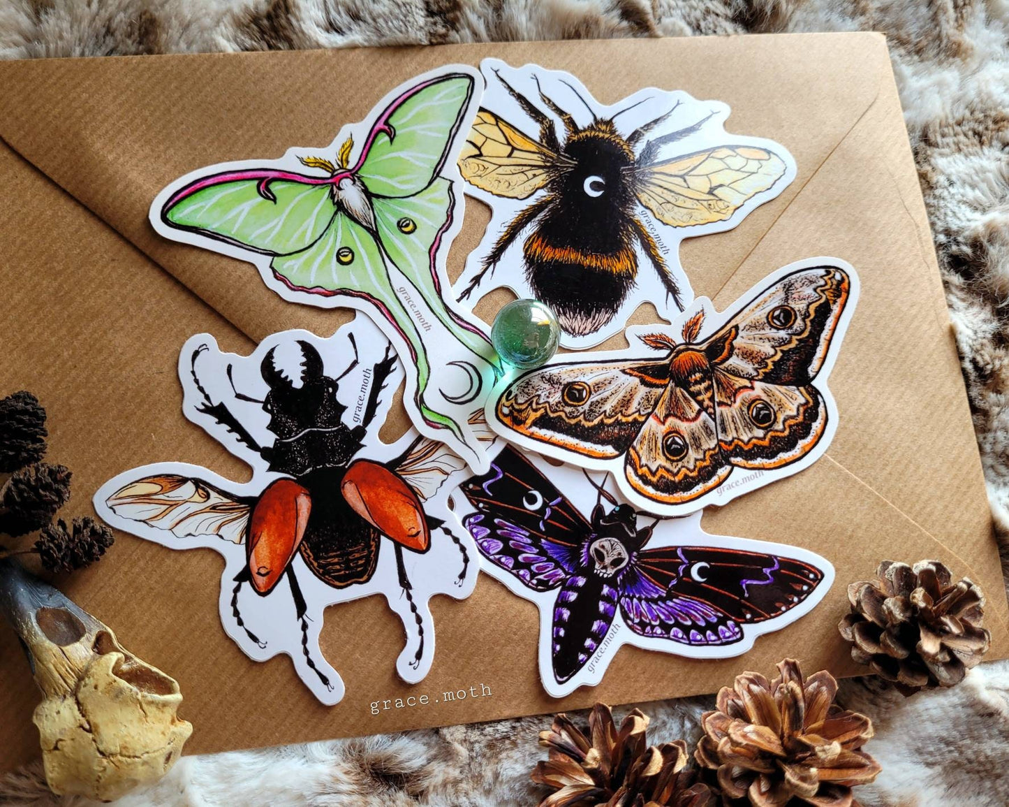 Magical Insects - Vinyl Sticker Bundle 10cm - Illustrated by Grace moth. Witchy, magic, moths, luna moth, death hawk, bumble bee, oddities